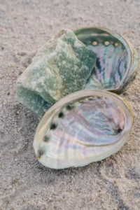 Reconnexion à soi- Abalone